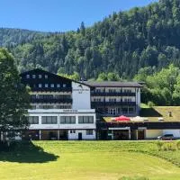 Sporthotel am Ötscher, хотел в Лакенхоф