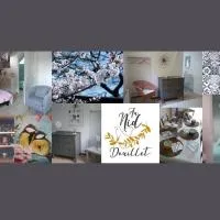 Au Nid Douillet, hotel i Seigy