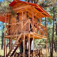 CASA DEL ARBOL en la Sierra de Durango