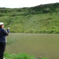 MacFarlanes, khách sạn ở Harrismith