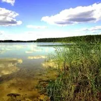 OŚRODEK WYPOCZYNKOWY OAZA, hotel en Kuźnica Zbąska