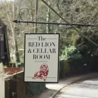 The Red Lion & Cellar Room, Betchworth，貝奇沃思的飯店