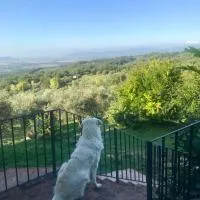 Agriturismo Campo al Crognolo, khách sạn ở Sassofortino