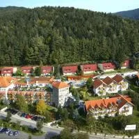 Donna Burghotel am hohen Bogen, hotel en Neukirchen beim Heiligen Blut