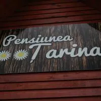 Pensiunea Tarina, hotel v destinácii Şuncuiuş