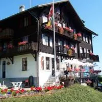 Hôtel de Torgon、Vionnazのホテル