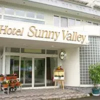 Hotel Sunny Valley, hotel u gradu 'Otari'