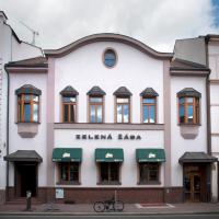 Penzion Zelená Žába – hotel w pobliżu miejsca Lotnisko Pardubice - PED w mieście Pardubice