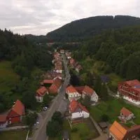 Hotel-Pension Waldhaus: Bad Grund şehrinde bir otel