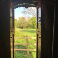Glamping in traditional huts, hotel in Sway