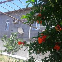 Guest house near Baku airport, ξενοδοχείο κοντά στο Διεθνές Αεροδρόμιο Heydar Aliyev - GYD, Μπακού