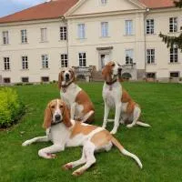 Pałac Nakomiady, hotel v destinácii Nakomiady