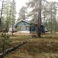 Auroracabin Chalets، فندق في ساريسيلكا