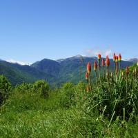 Chalets "les gentianes"