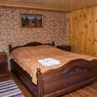 Карпатське сяйво, hotel di Vizhni Siniyvir