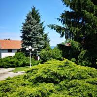 a large green bush with a pine tree in the background at Apartment and Rooms Dedine Golubac