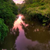 La Selva Biological Station, hotel em Sarapiquí