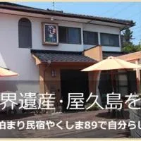 Yakushima Park Guesthouse,屋久島的飯店