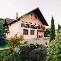 Casa Rareş Suceviţa, hotel a Suceviţa