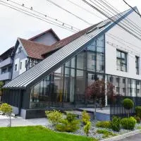 Hotel Subcarpati, hotel u gradu Kurtea de Arđeš