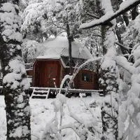 Domos Entre Bosques, hotel Malalcahuellóban