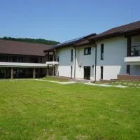 Pensiunea Patru Anotimpuri, hotel sa Sasca Română
