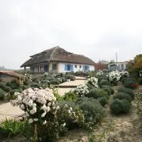 Enisala Safari Village、Enisalaのホテル