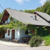 Zidanica Meglič - Vineyard cottage Meglič، فندق في Trebnje