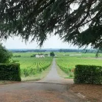 A L'OMBRE DE LA TREILLE -Proche Saint-Emilion, хотел в Saint-Magne-de-Castillon