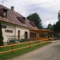 Penzion u Hradilů, hotel in Vrbno pod Pradědem