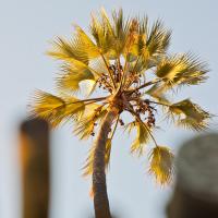 Palmwag Lodge, hotell sihtkohas Palm