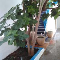 CASA MEDITERRANEA