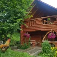 У Медовому Раю, hotell sihtkohas Rostoka
