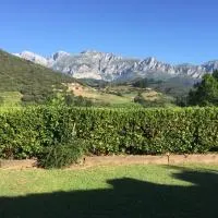 Mirador De Picos, Hotel in Aliezo