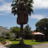 Villa D este, hotel i nærheden af Kimberley Lufthavn - KIM, Kimberley