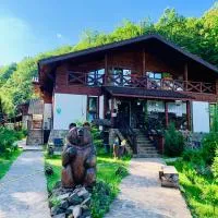 Chalet Vedmezhe, hotel din Polyana