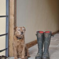 Cobnut Barn, hotel in Cheltenham