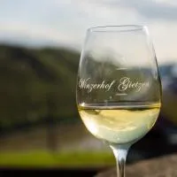 Winzerhof Gietzen, hotelli kohteessa Hatzenport