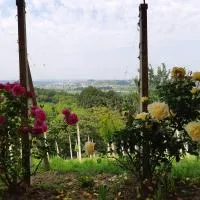 House of The Red Poppy, готель у місті Mirkovec