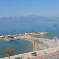 Summer Paradise by the beach
