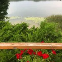 Paukoje Apartamentai, отель в городе Игналина
