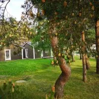 Delta Plius, hotel v destinácii Šventoji