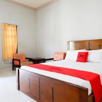 RedDoorz near Mutiara SIS Al Jufrie Airport Palu: Palu, Mutiara Havaalanı - PLW yakınında bir otel