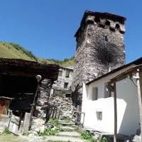 Hotel Family Bachi – hotel w mieście Adishi