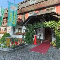 Hotel Silberdistel, hôtel à Hinterzarten