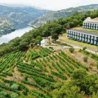 Douro Palace Hotel Resort & SPA, Hotel in Baião