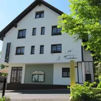 Rennsteighotel Grüner Baum, hotelli kohteessa Schmiedefeld am Rennsteig