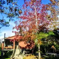 Gaia Hostal, hotel a Tigre