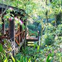 a small house in the middle of a forest at Margay - Reserva Natural y Lodge de Selva, El Soberbio