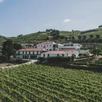 Casal dos Capelinhos - Douro, hotel u gradu Santa Marta de Penagiao